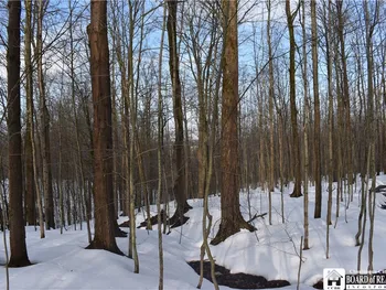 Property at 0 Edson & Harris Hill Rd., Gerry, NY 14740