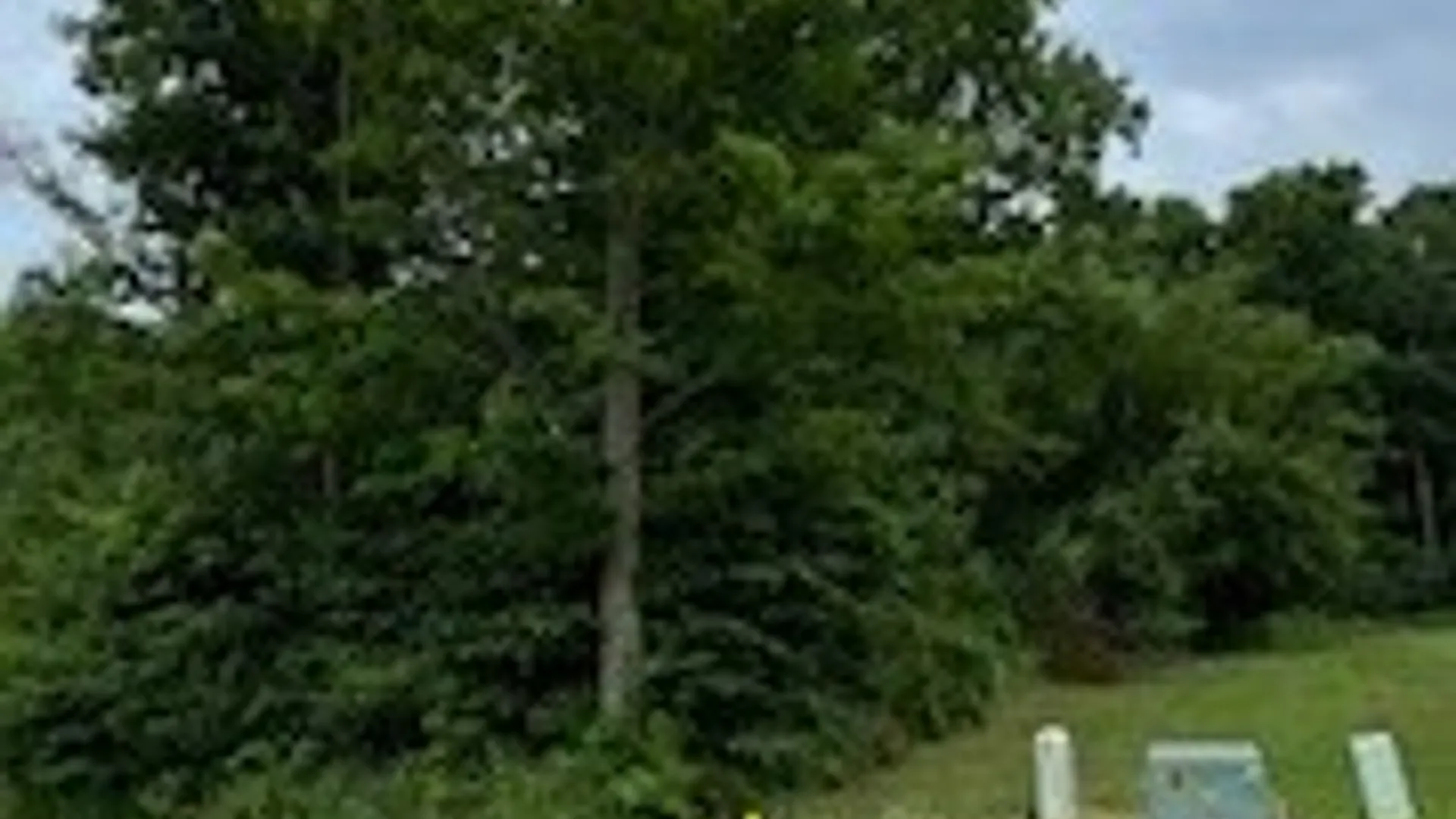 Property at Lot #5 Calemad Dr, Sennett, NY 13021 2