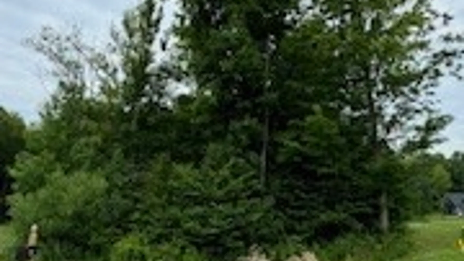Property at Lot #5 Calemad Dr, Sennett, NY 13021 4