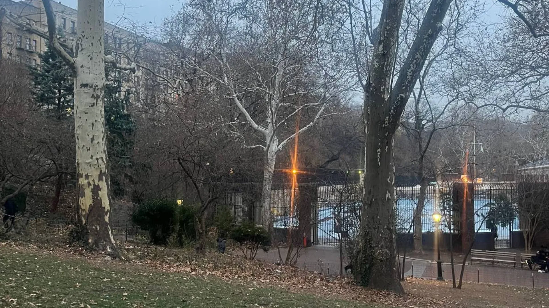 Property at 348 West 145th Street, New York, NY 10039 7
