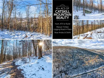 Property at 0 NY Route 28, Bovina, NY 13731