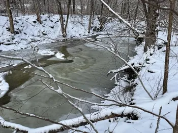 Property at L16.5 State Highway 220, Smithville, NY 13801