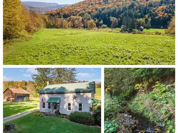 Property at 1615 Left Pines Brook Road, Walton, NY 13856