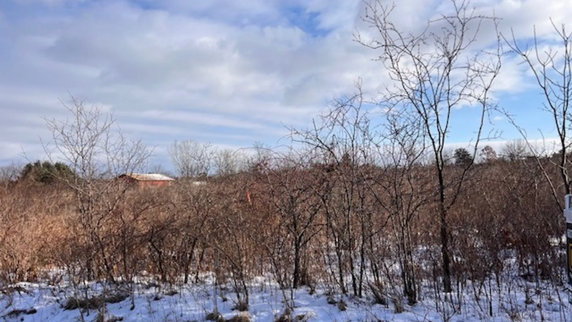 Property at 193 Drake Road, Lansing, NY 14882 2