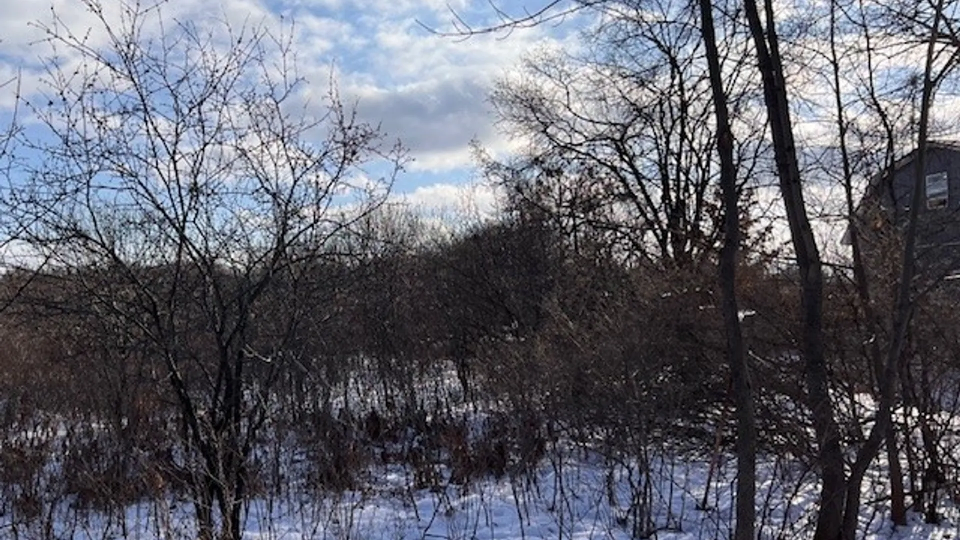 Property at 193 Drake Road, Lansing, NY 14882 3