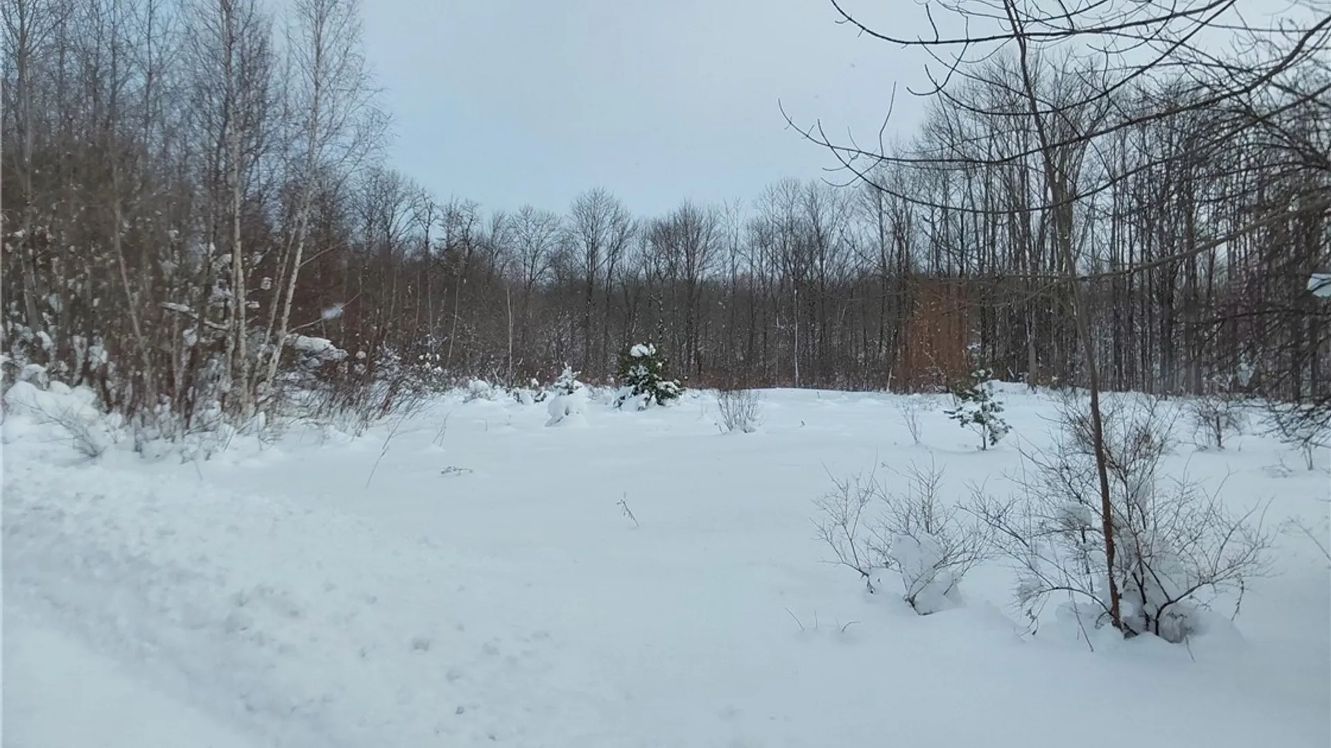 Property at NYS Rt 365, Trenton, NY 13438 2