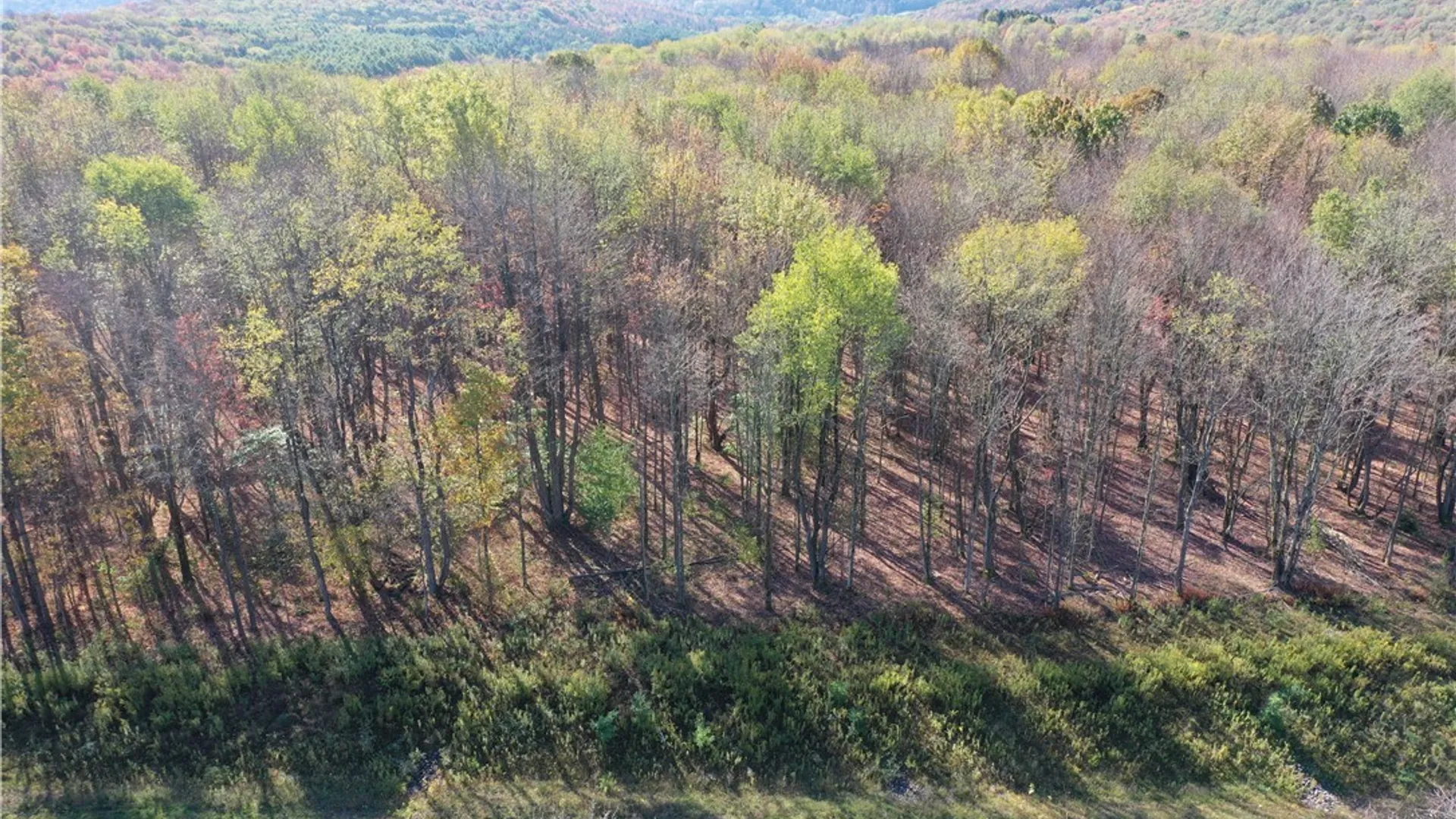 Property at 11 Trail Heights, Ellicottville, NY 14731 19