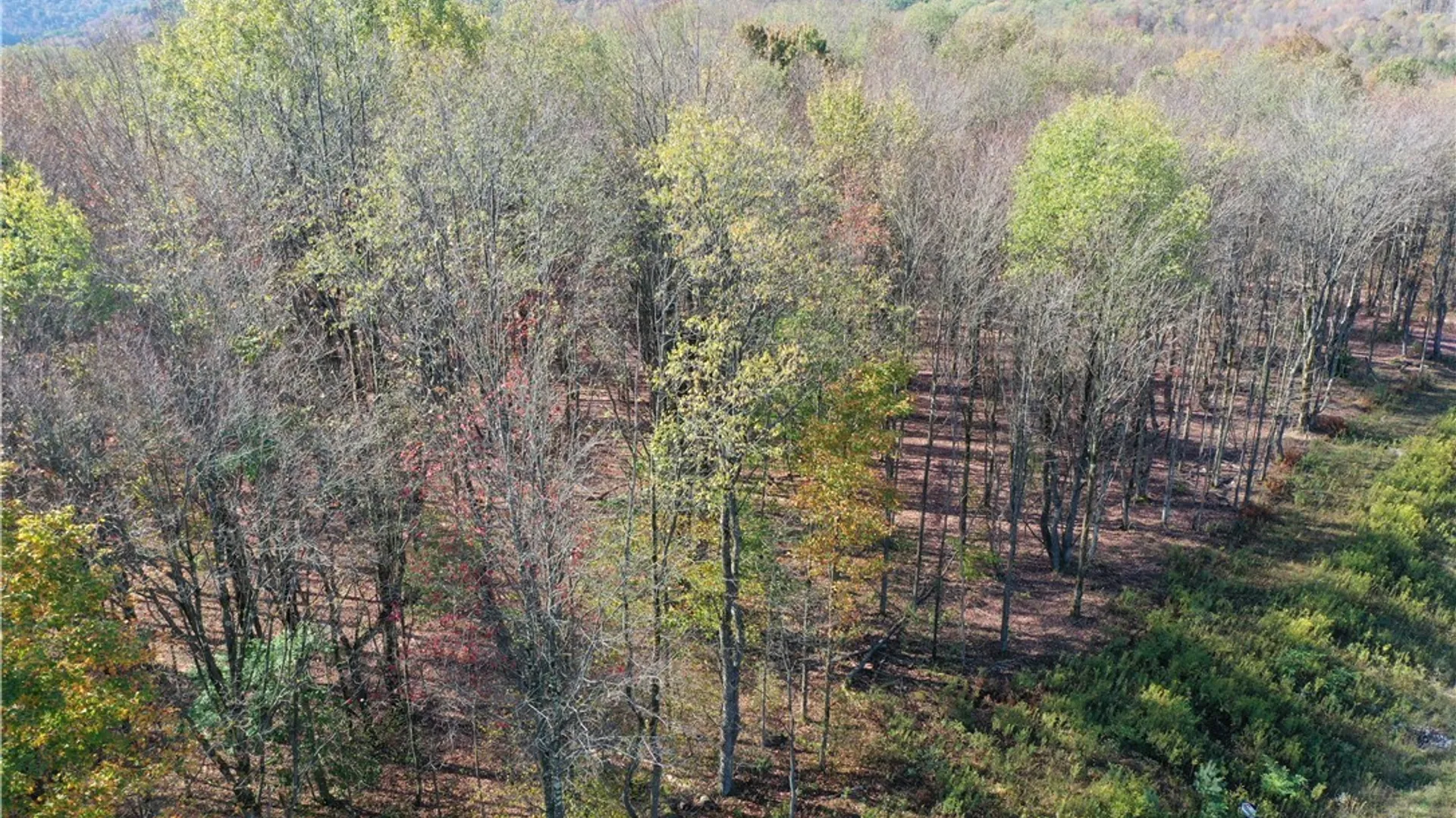Property at 11 Trail Heights, Ellicottville, NY 14731 2