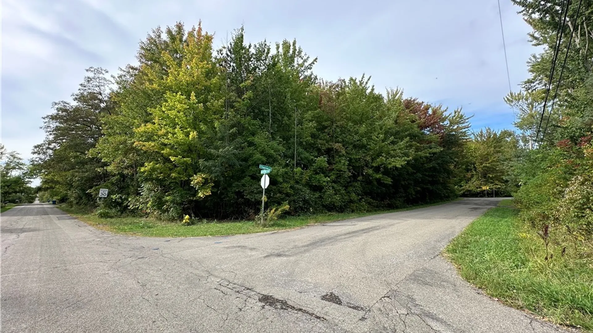 Property at 9528 Chippewa Street, Evans, NY 14006 2