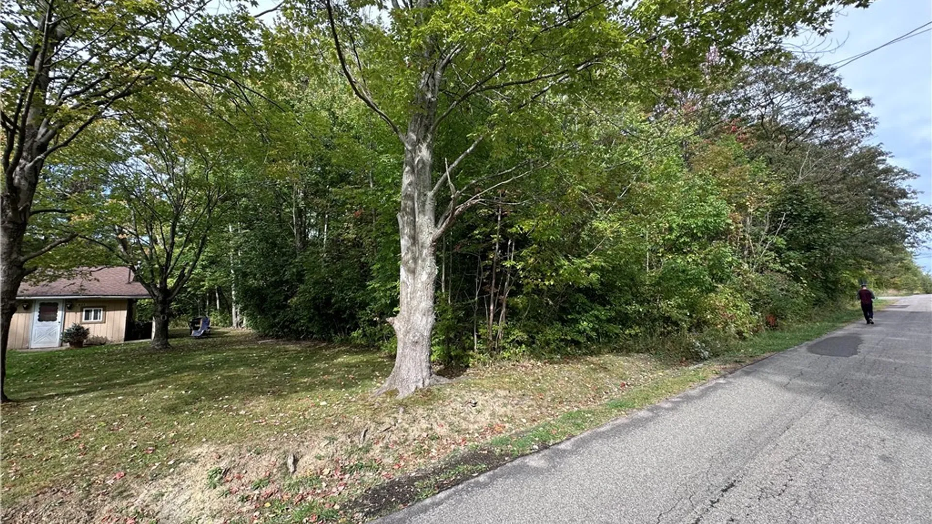 Property at 9528 Chippewa Street, Evans, NY 14006 4