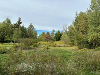 Property at 1333 Cain Road, Brant, NY 14006