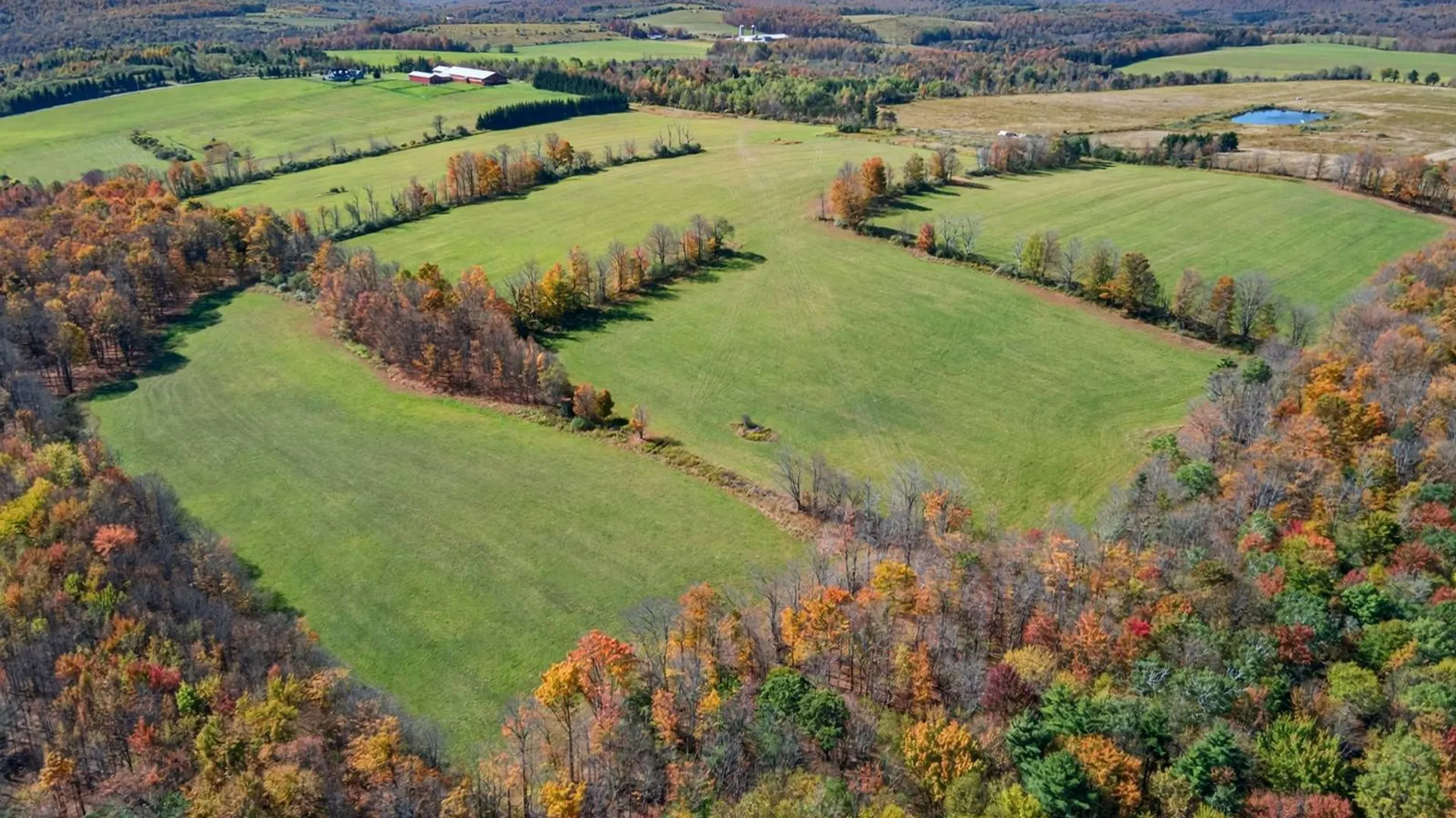 Property at 11600 Chambers Road, Beaver Dams, NY 14812 30