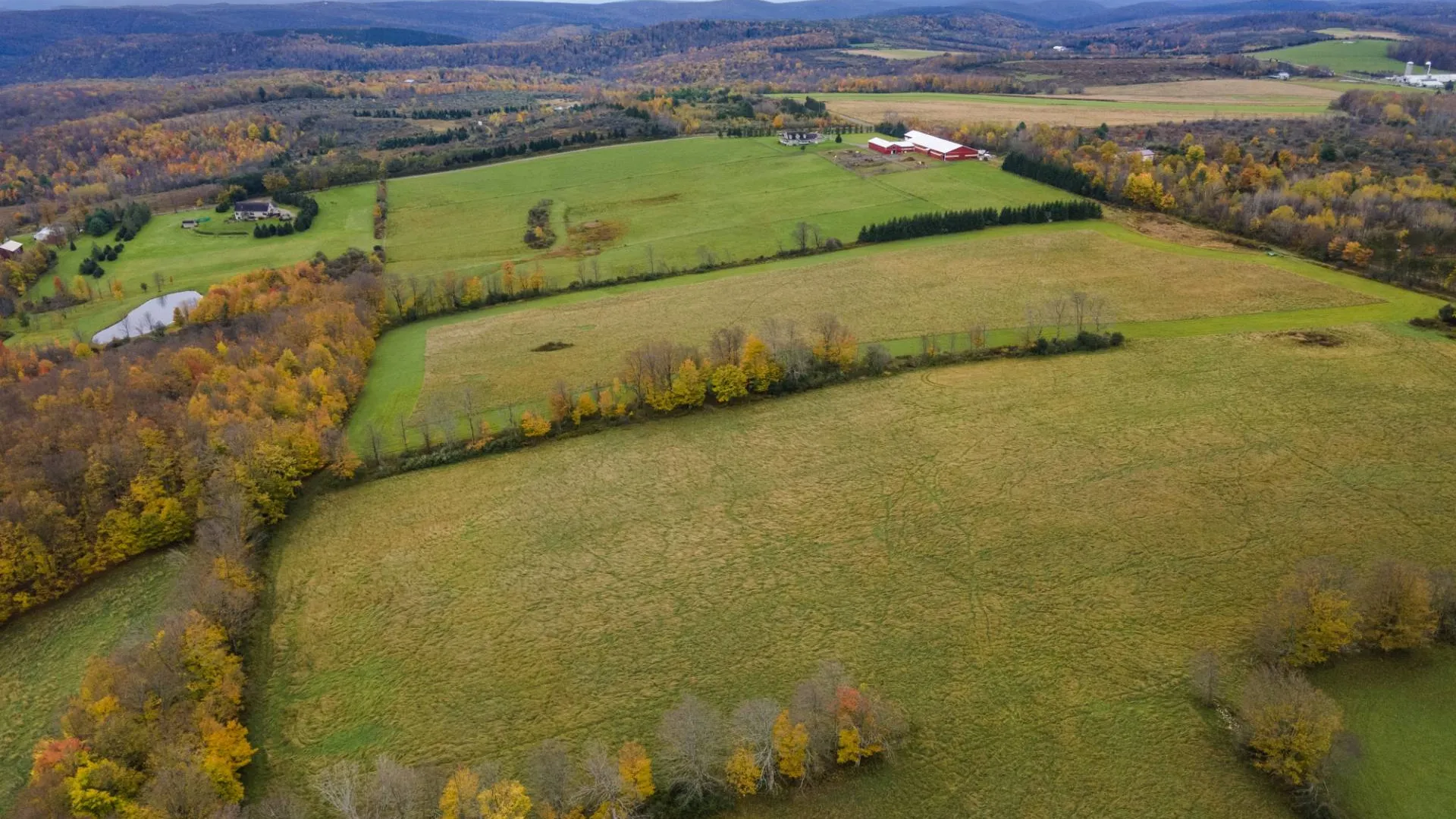 Property at 11600 Chambers Road, Beaver Dams, NY 14812 31