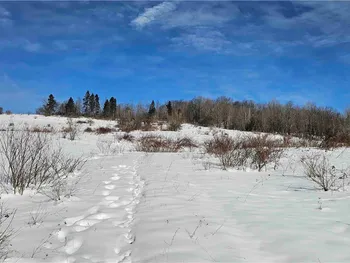 Property at 911 State Highway 80, Smyrna, NY 13464