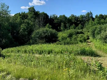 Property at 0 County Road 16, Dix, NY 14891