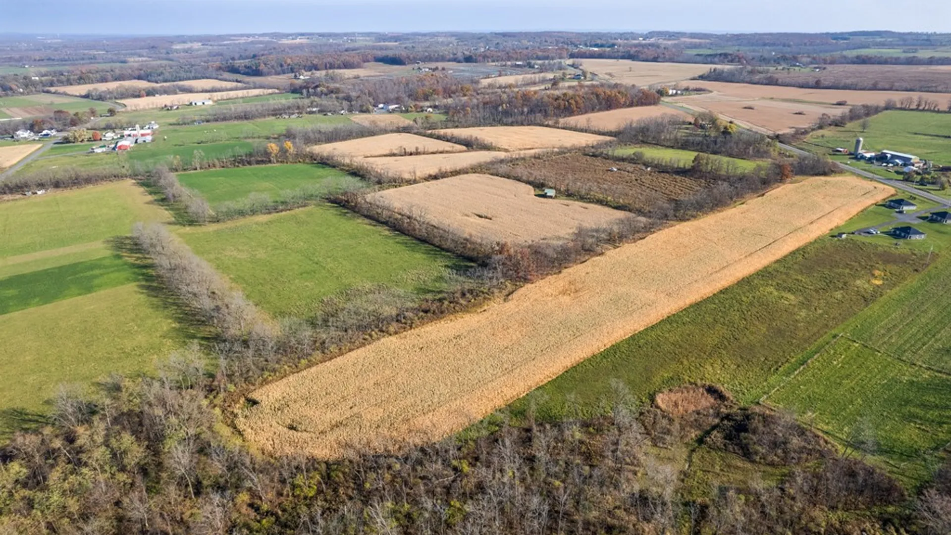 Property at 00 NY 414, Lodi, NY 14860 9