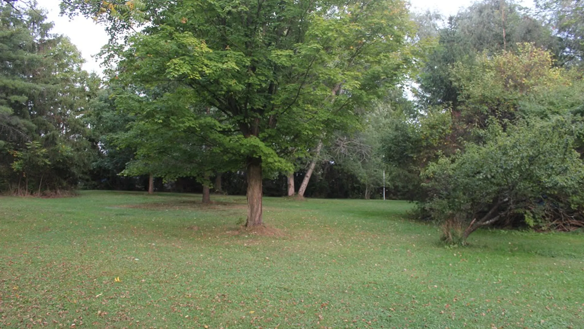 Property at 4555 State Route 79, Hector, NY 14818 12