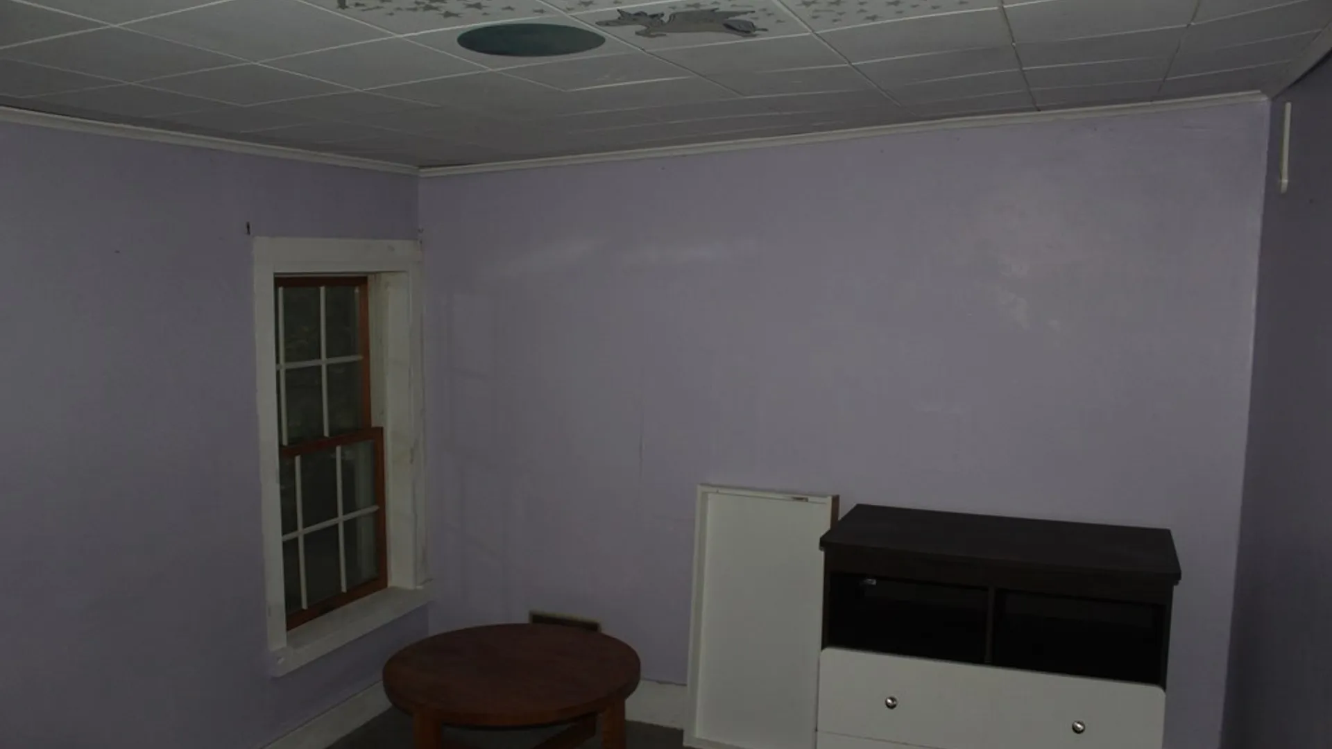 Property at 4555 State Route 79, Hector, NY 14818 33