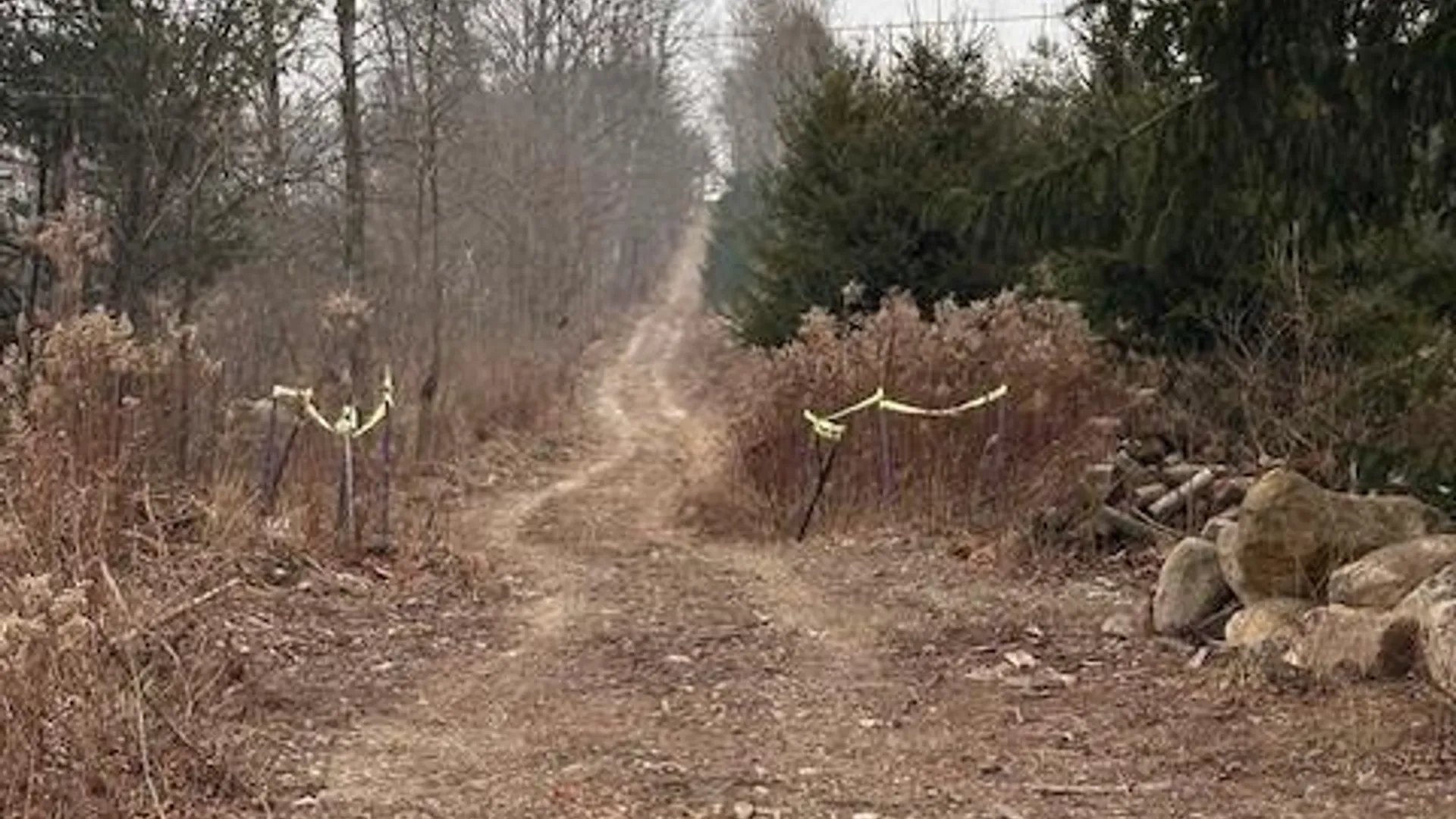 Property at 1980 COUNTY RT. 81, Rathbone, NY 14801 11