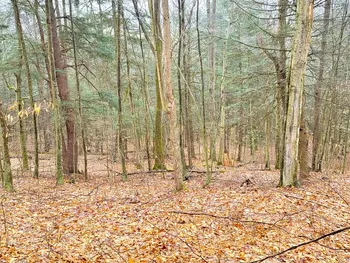Property at 0 Sugar Hill Road, Orange, NY 14812