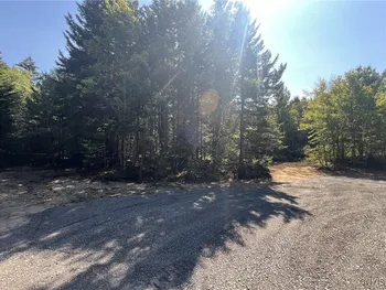 Property at 1105 Pardeeville Road, Russia, NY 13324