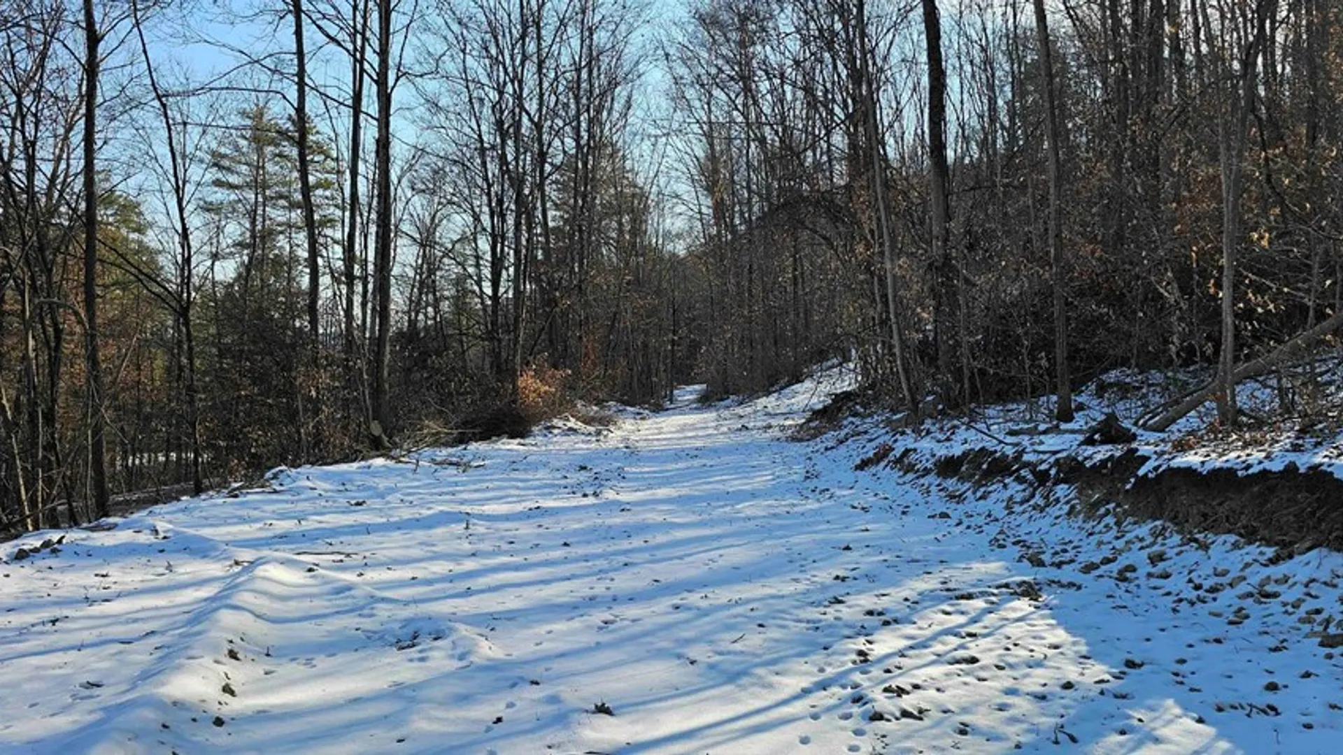 Property at 00 Jenkins Road, Elmira, NY 14861 2