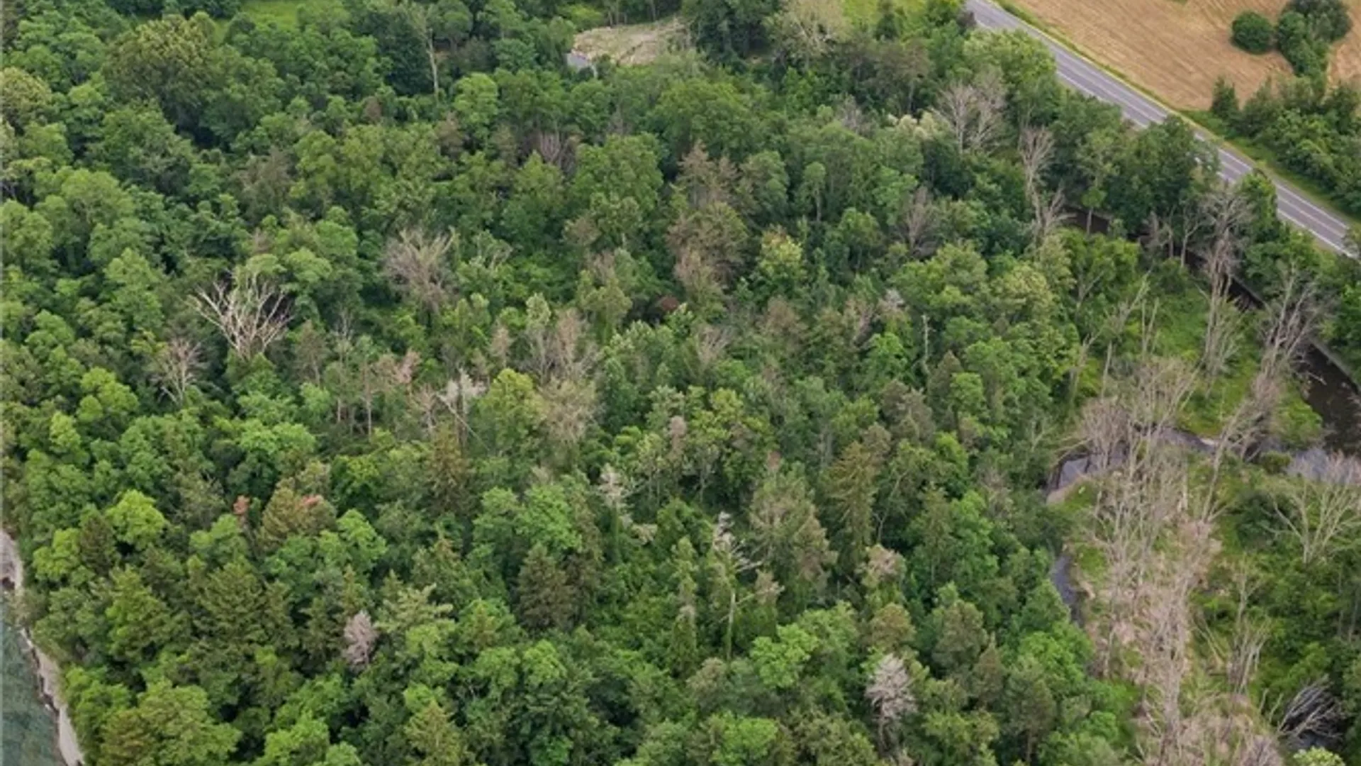 Property at Route 5, Sheridan, NY 14136 10