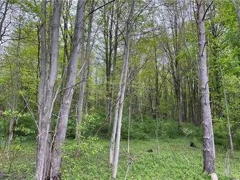 Property at Old State Road, Sterling, NY 13156