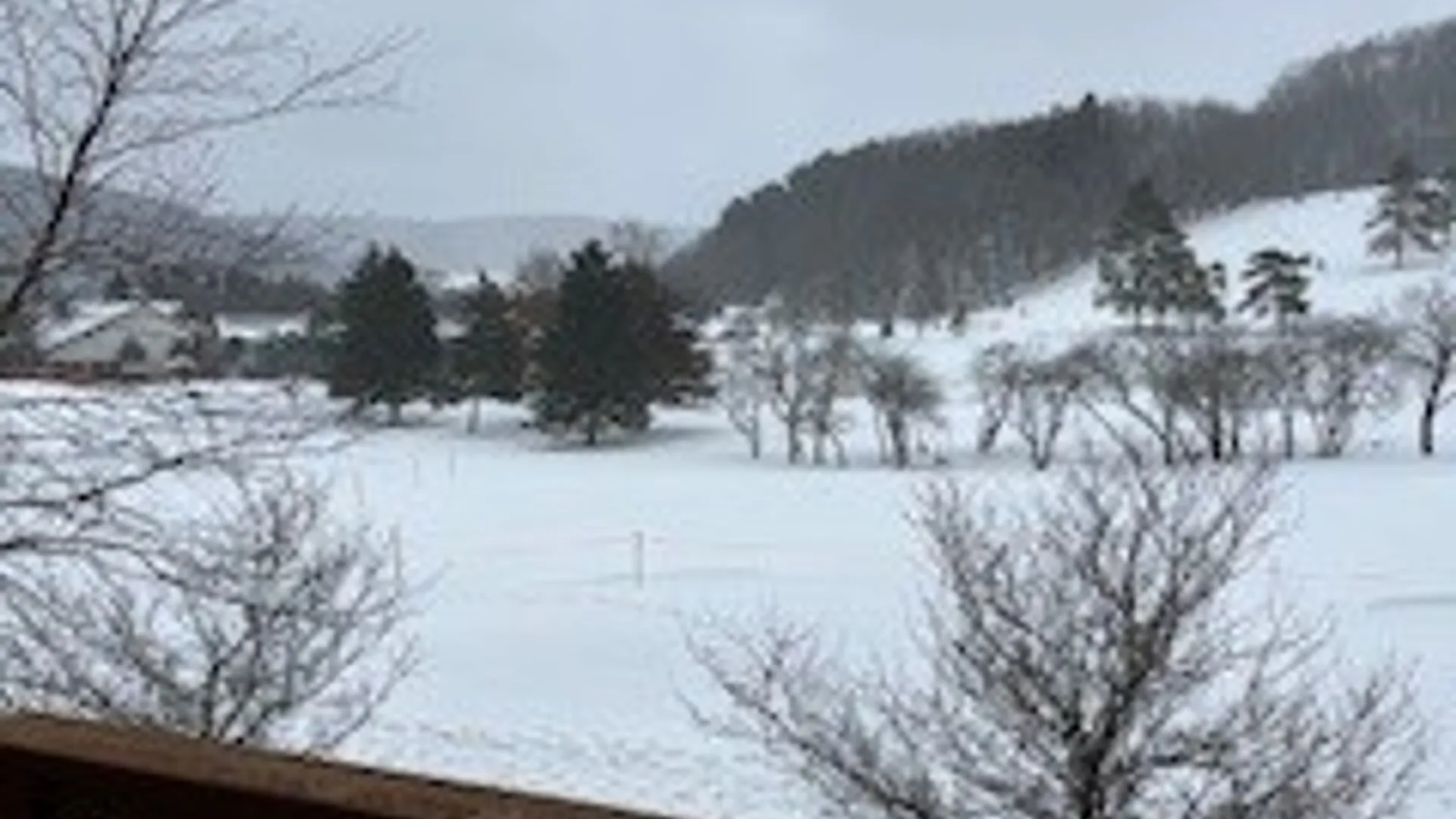 Property at 6447 Holiday Valley Road, Ellicottville, NY 14731 10