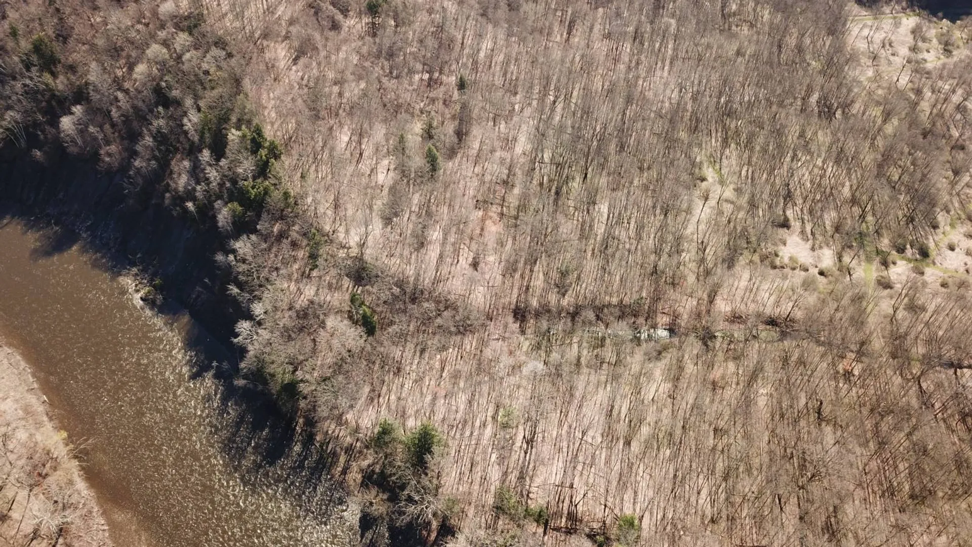 Property at 000 Shells Bush Rd, Herkimer, NY 13350 6