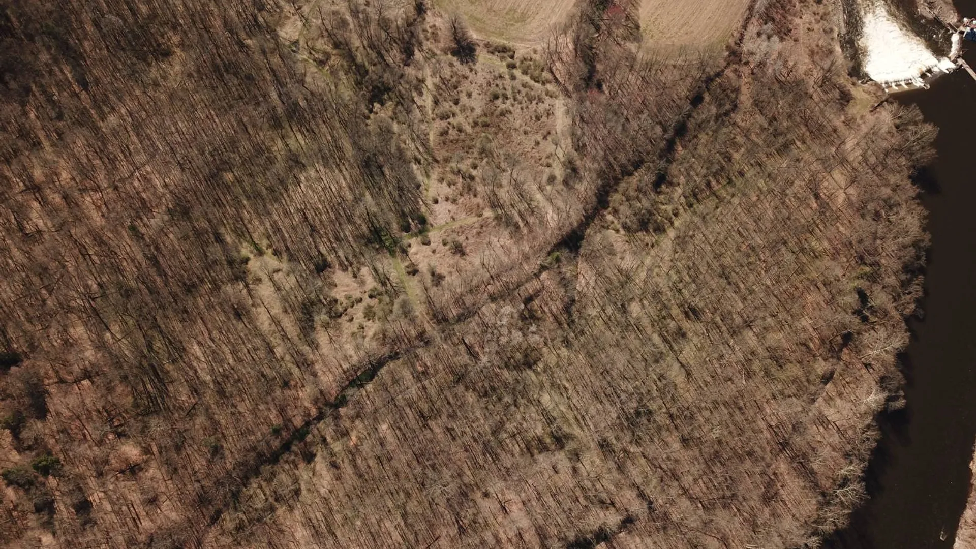 Property at 000 Shells Bush Rd, Herkimer, NY 13350 8