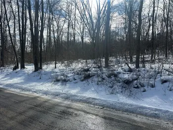 Property at 0000 Woodmancy Road, Tully, NY 13159