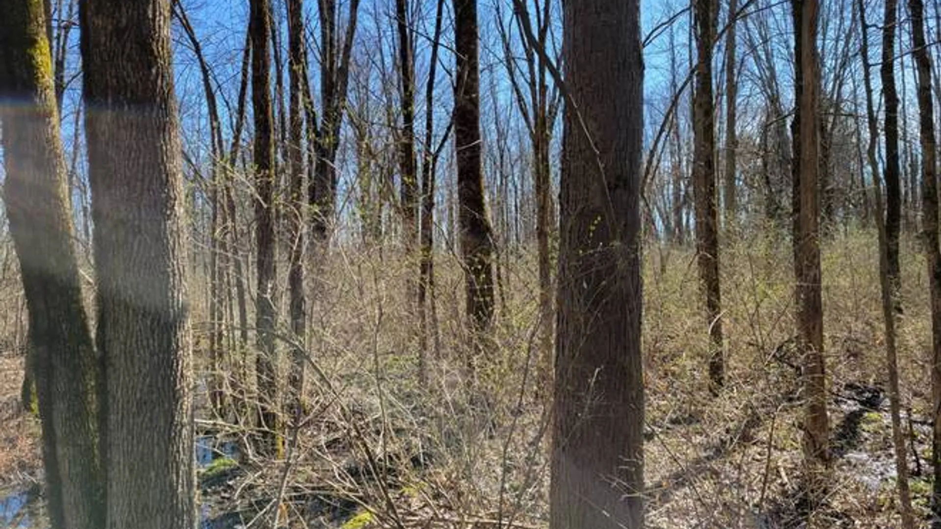 Property at 3605 Route 31, Canastota, NY 13032 12