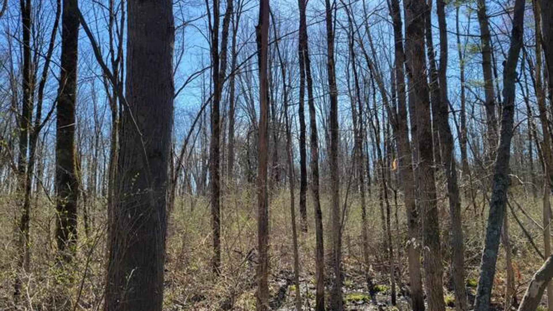 Property at 3605 Route 31, Canastota, NY 13032 13