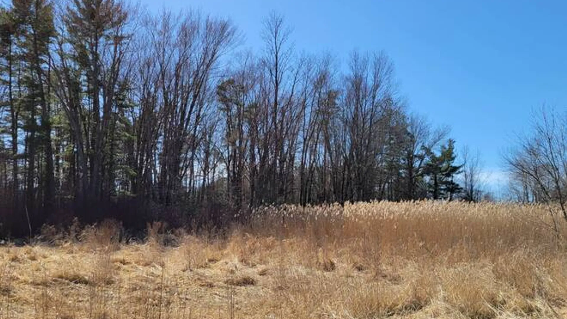 Property at 3605 Route 31, Canastota, NY 13032 17