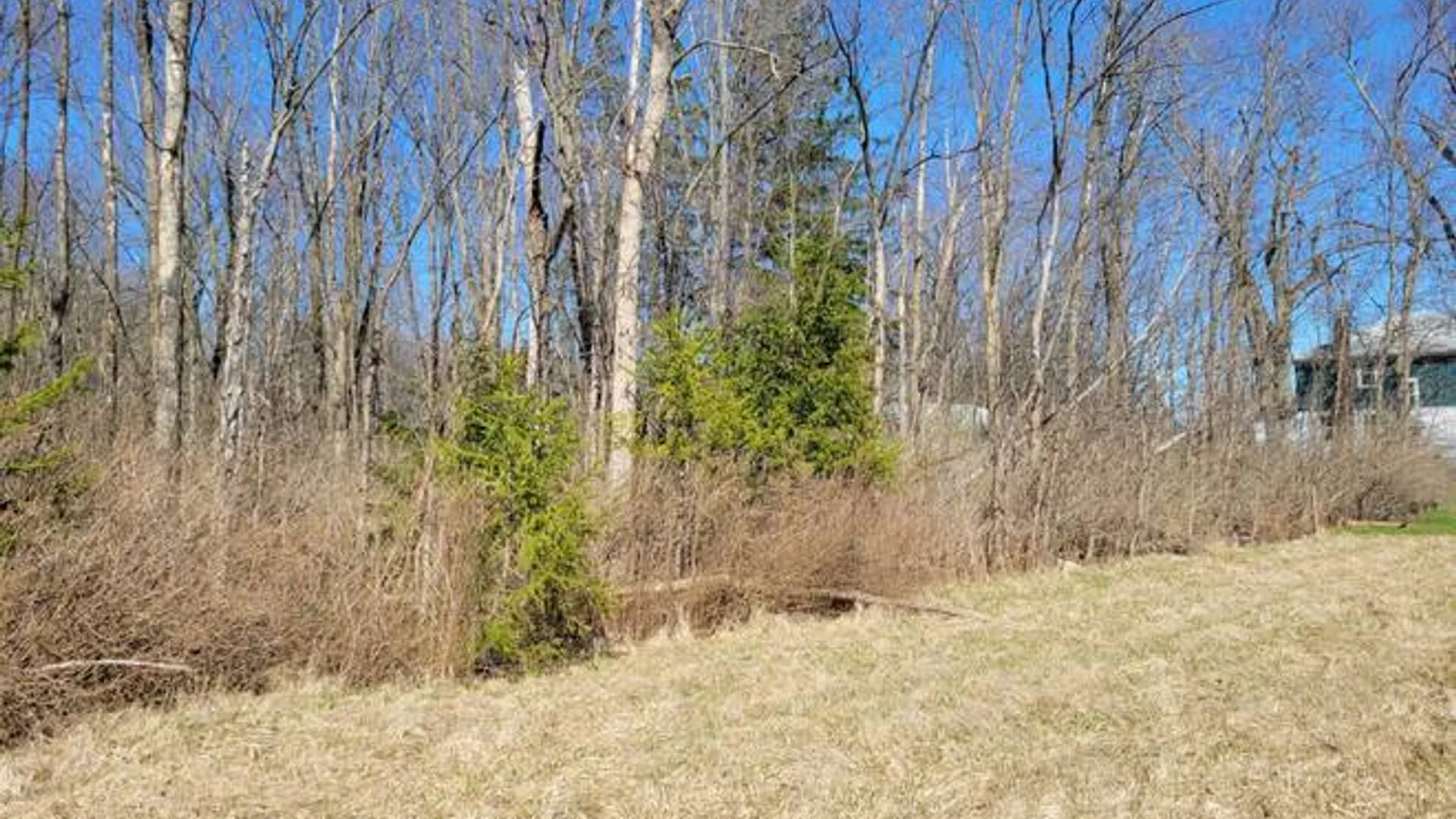 Property at 3605 Route 31, Canastota, NY 13032 37