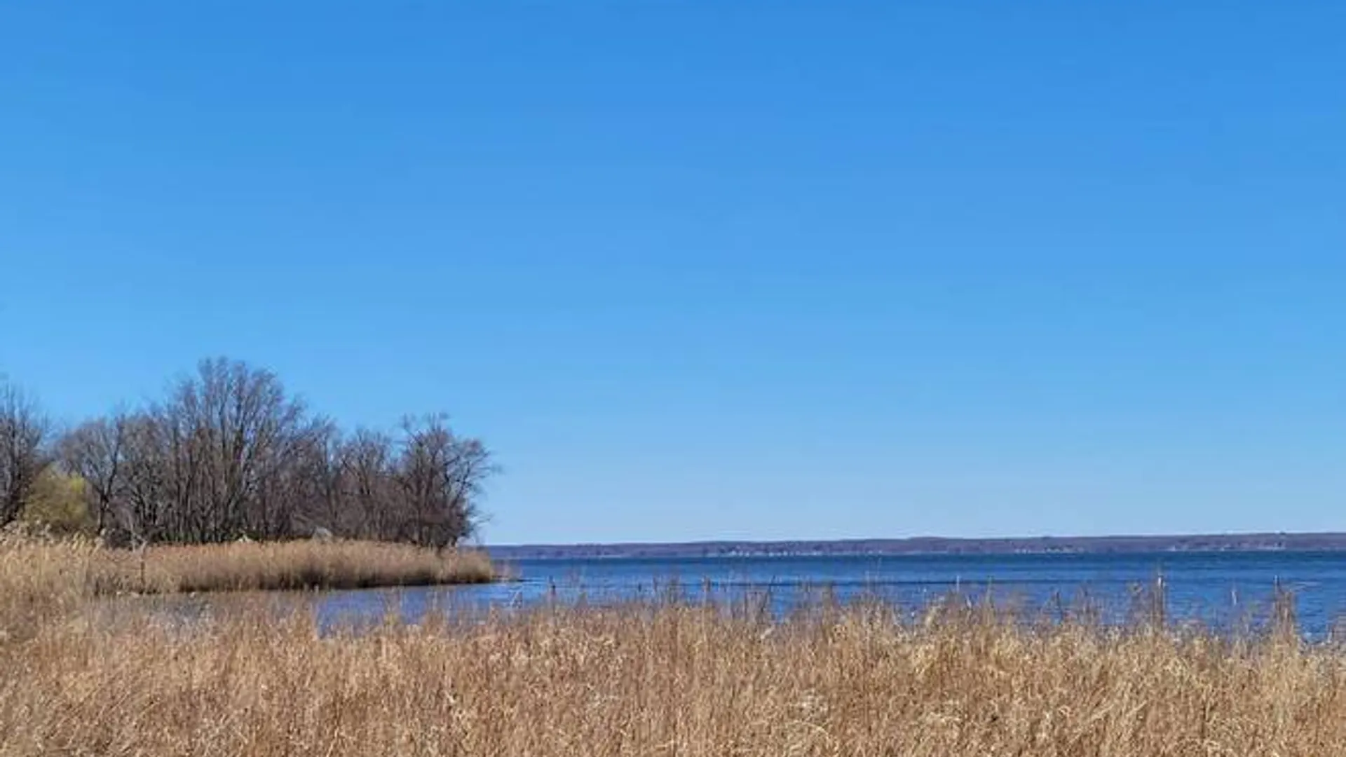 Property at 3605 Route 31, Canastota, NY 13032 4