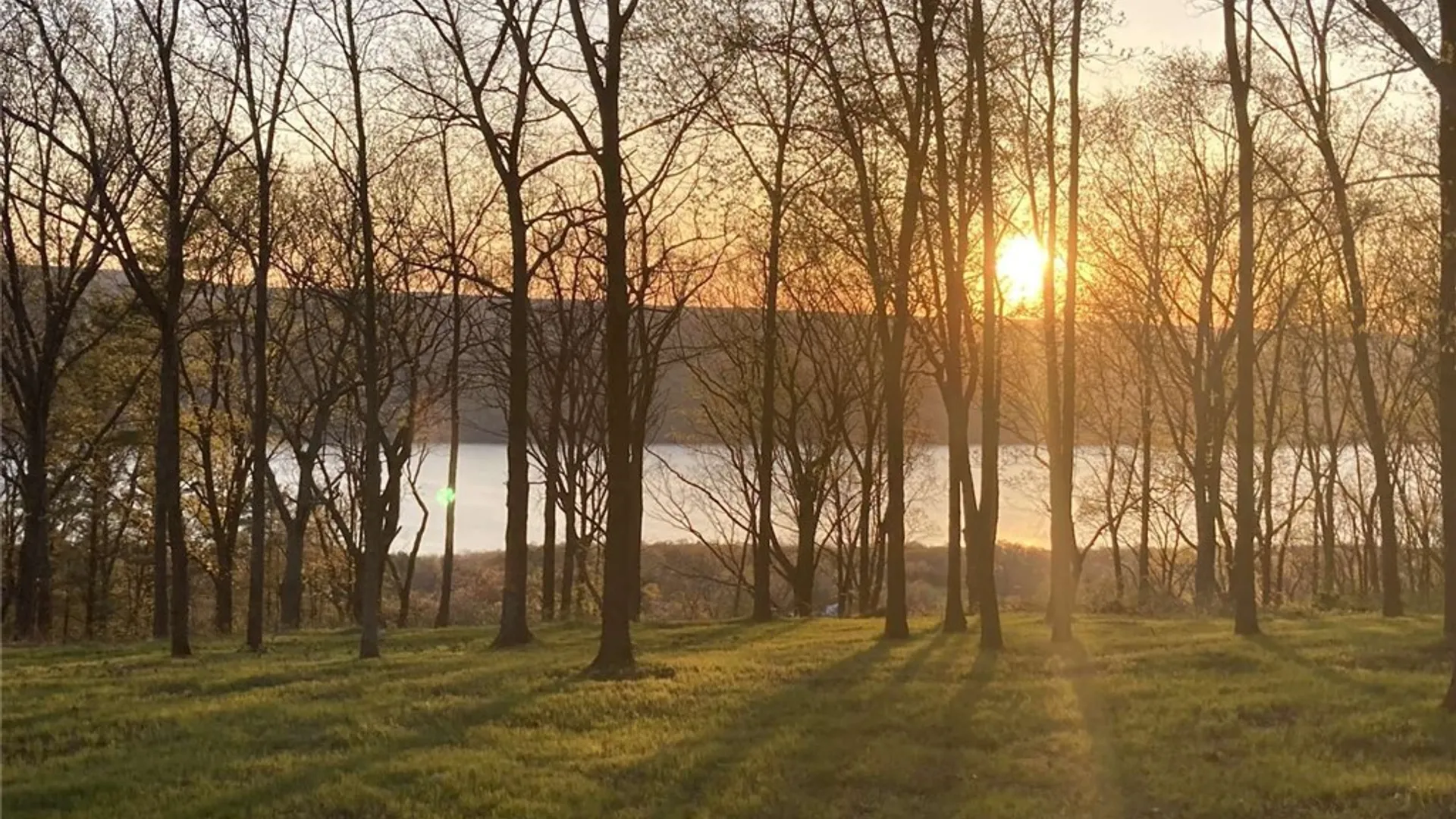 Property at 0 Satterly Way, Hector, NY 14818 2