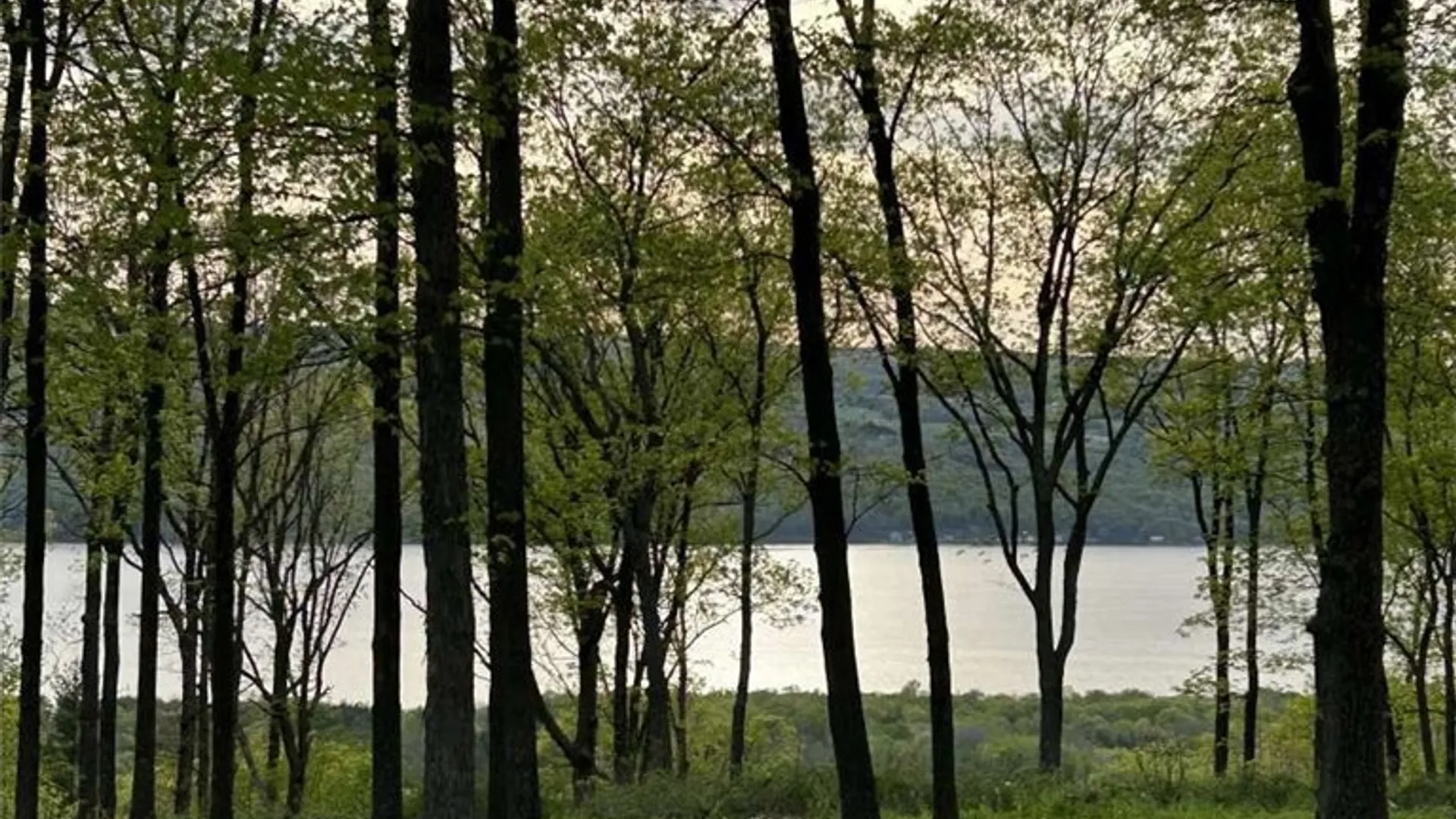 Property at 0 Satterly Way, Hector, NY 14818 3