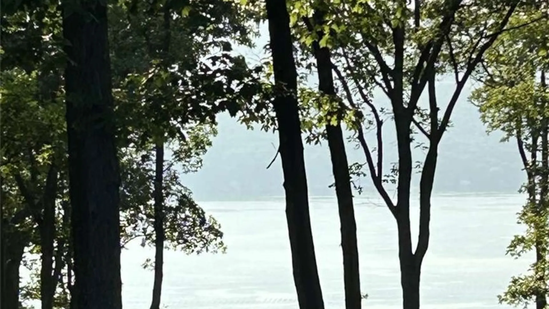 Property at 0 Satterly Way, Hector, NY 14818 4