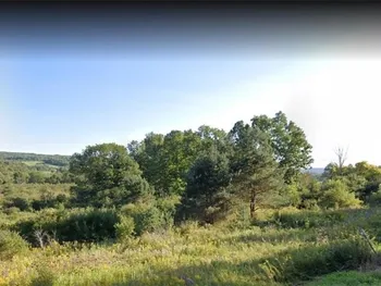 Property at 00 State Route 226 HWY, Tyrone, NY 14815