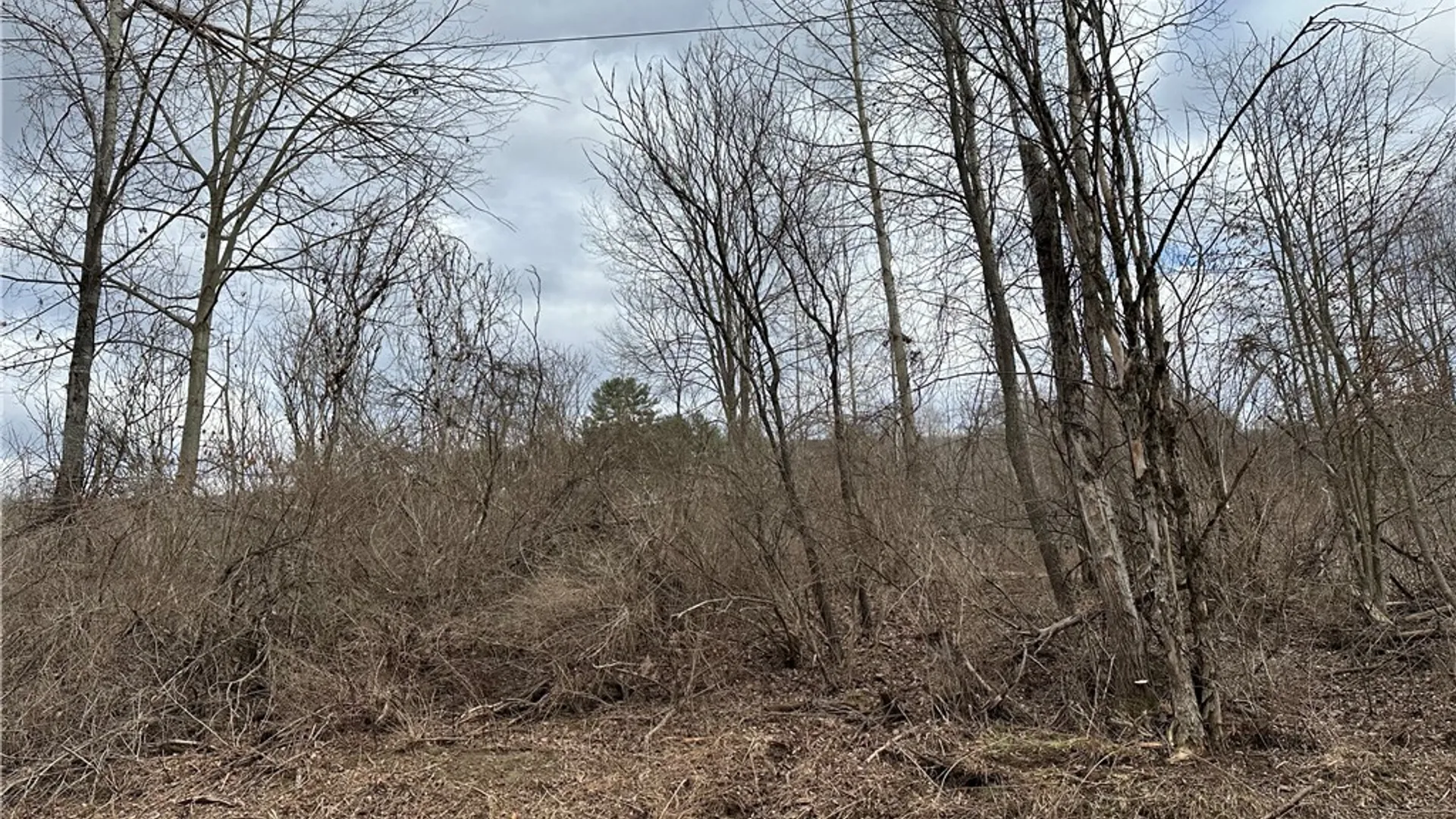 Property at River Road, Butternuts, NY 13776 2