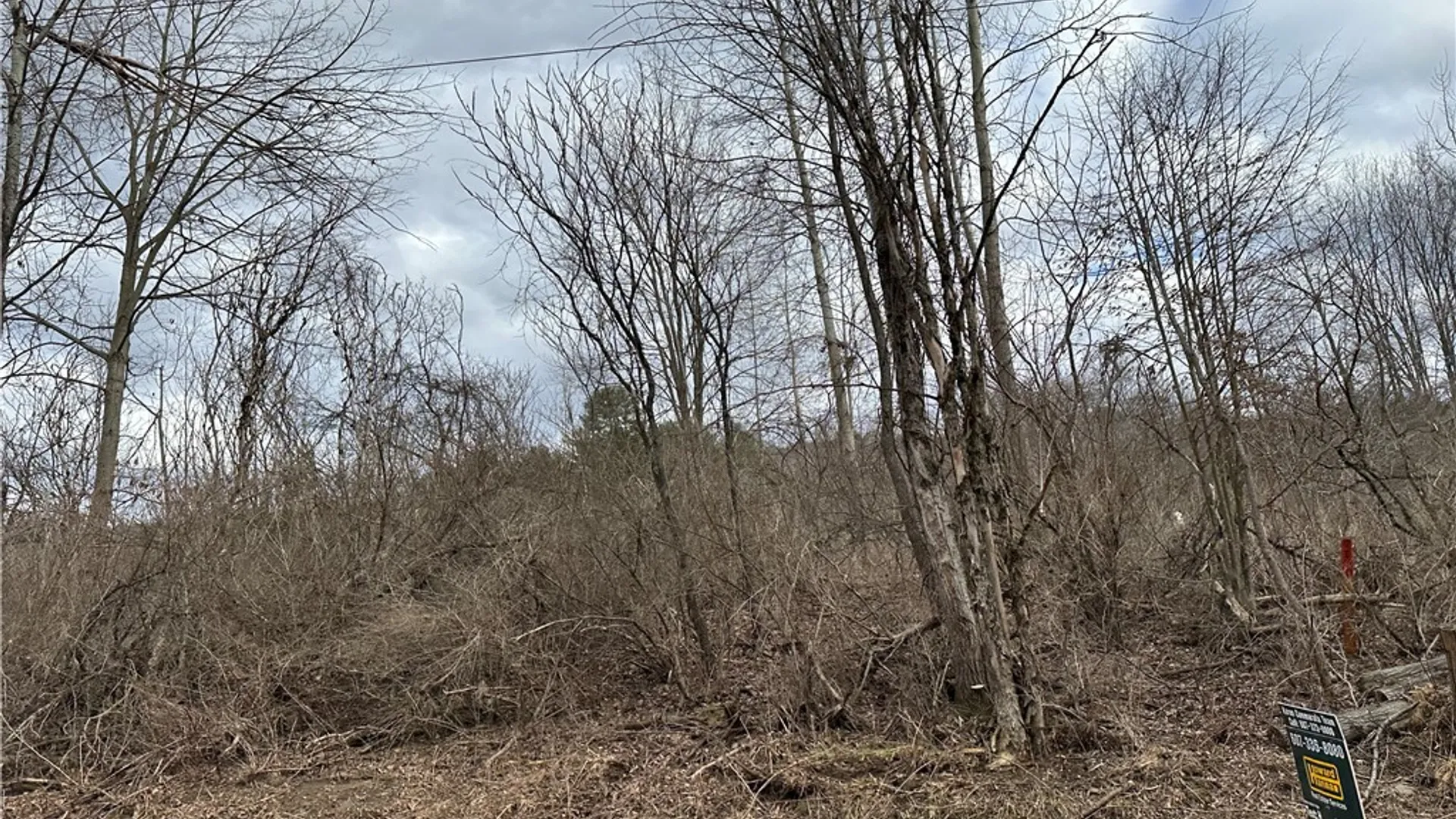 Property at River Road, Butternuts, NY 13776 3
