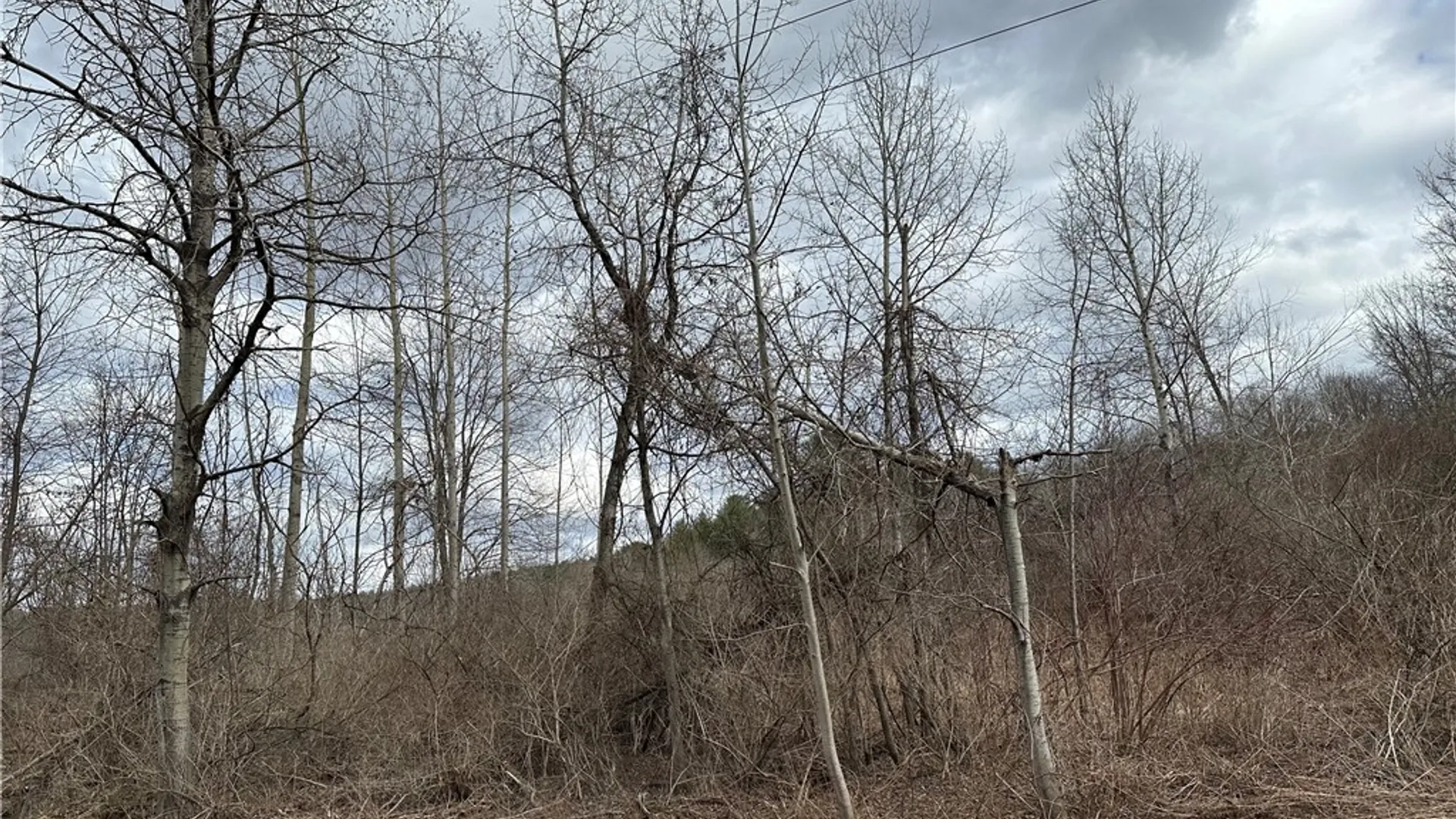 Property at River Road, Butternuts, NY 13776 4