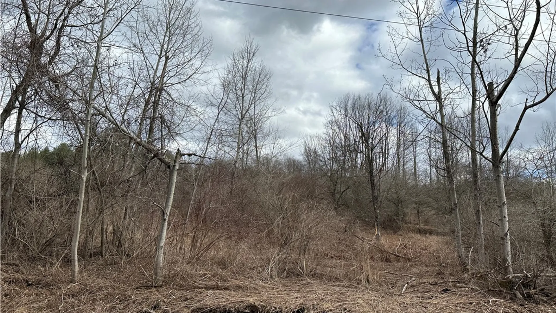 Property at River Road, Butternuts, NY 13776 5