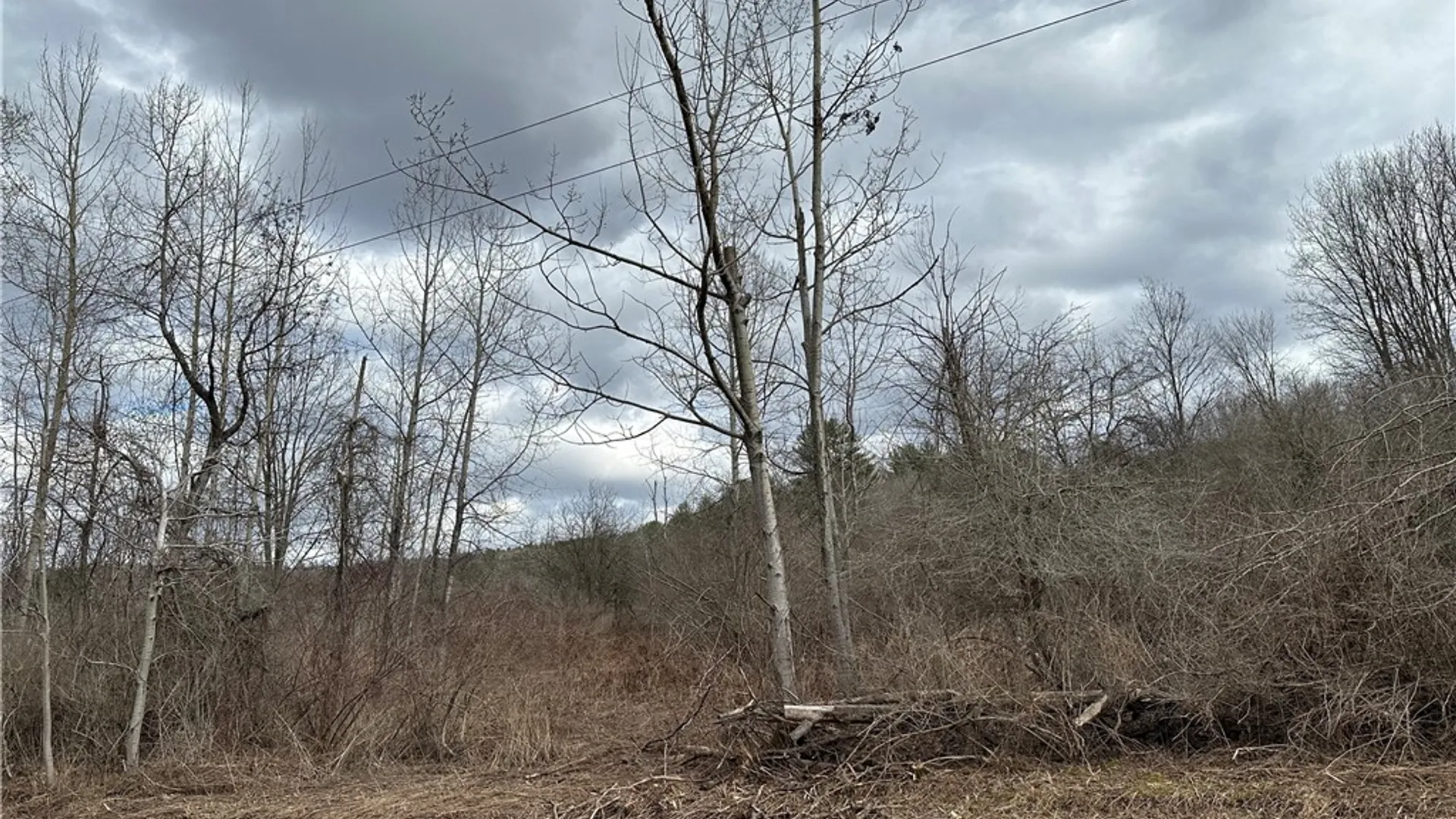 Property at River Road, Butternuts, NY 13776 6