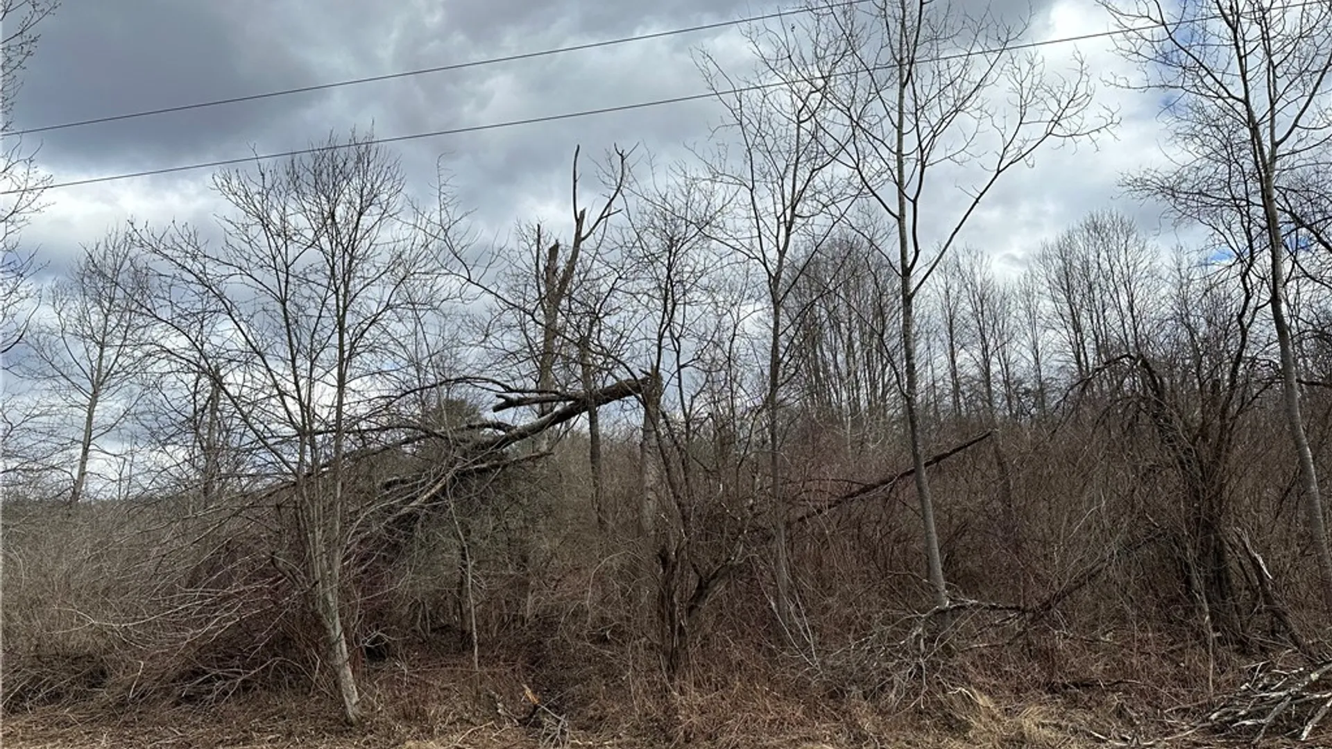 Property at River Road, Butternuts, NY 13776 7