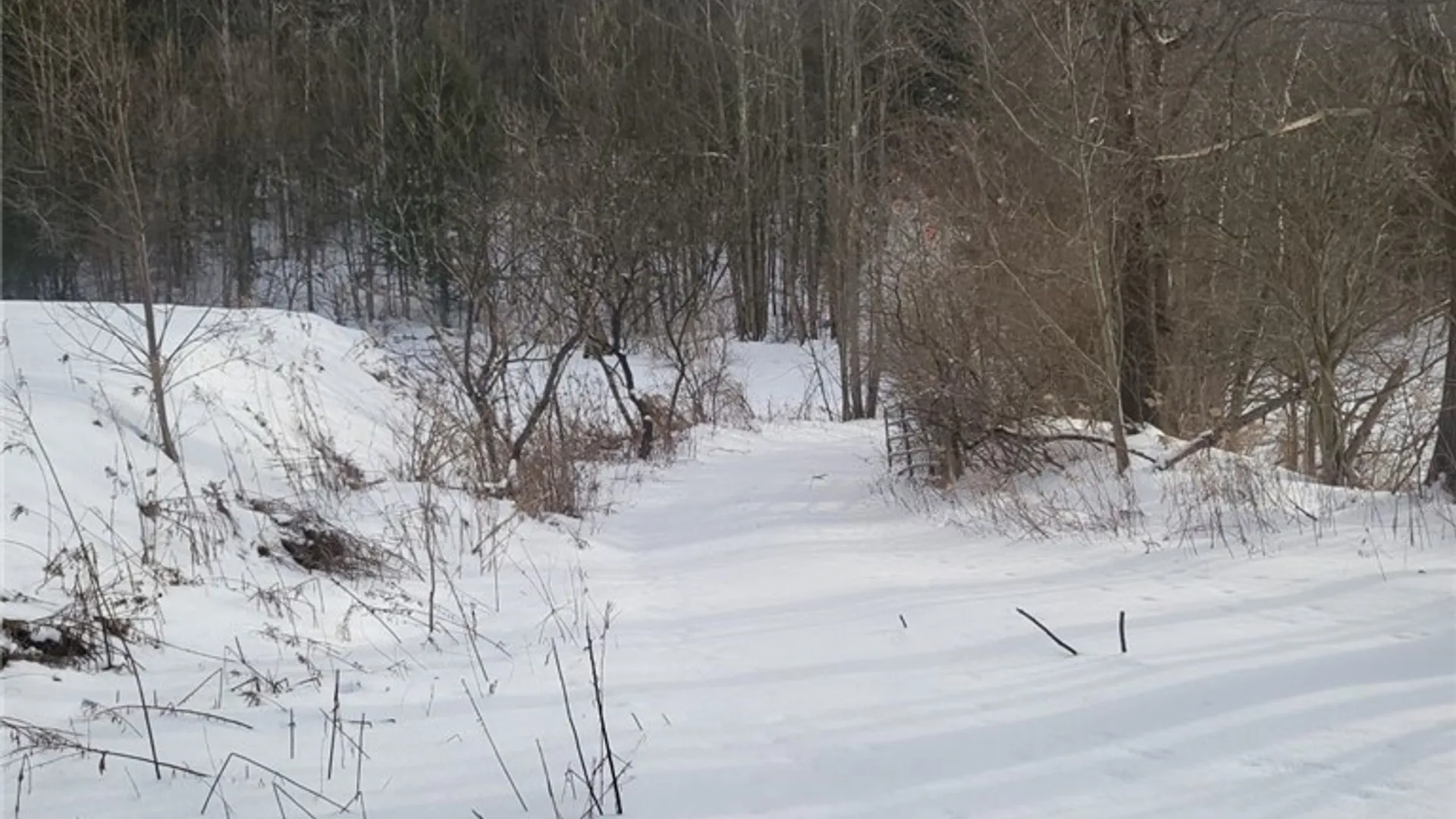 Property at 580 Honey Hollow Road, Windsor, NY 13865 5