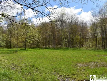 Property at Earl Seaton Rd., Napoli, NY 14772