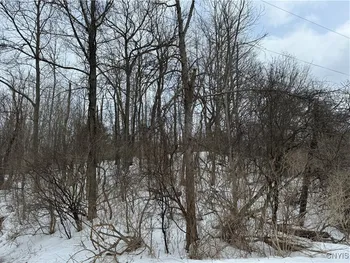 Property at Route 12 B, Madison, NY 13402